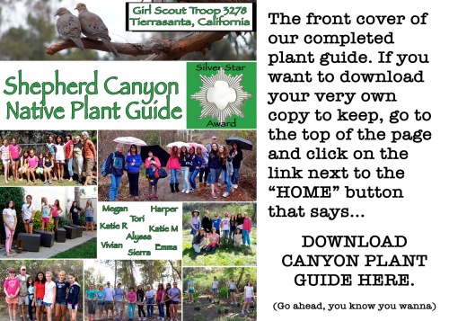 Guide front page